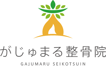 がじゅまる整骨院