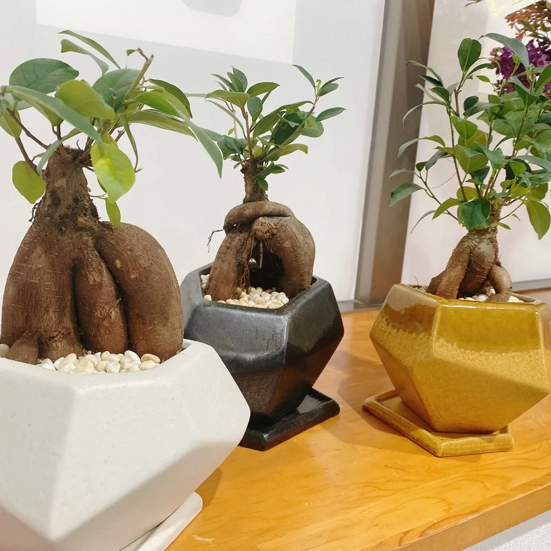 体を動かす楽しさを一生続けたいですよね！✨ そのためには、日...